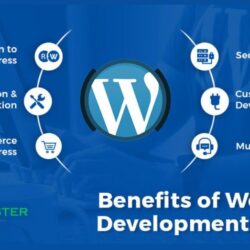 Overview of WordPress Development Service