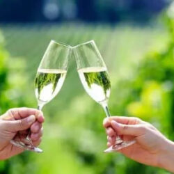 Hunter Valley Wine Tours