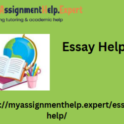 Essay Help